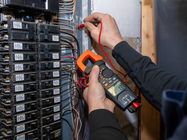 Best Electric Panel Repair  in Amherst, TX